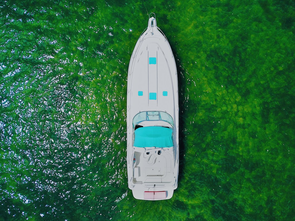 50ft Searay Sundancer