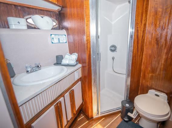 50 Cruiser Flybridge