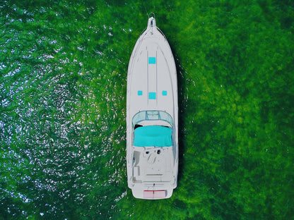 50ft Searay Sundancer