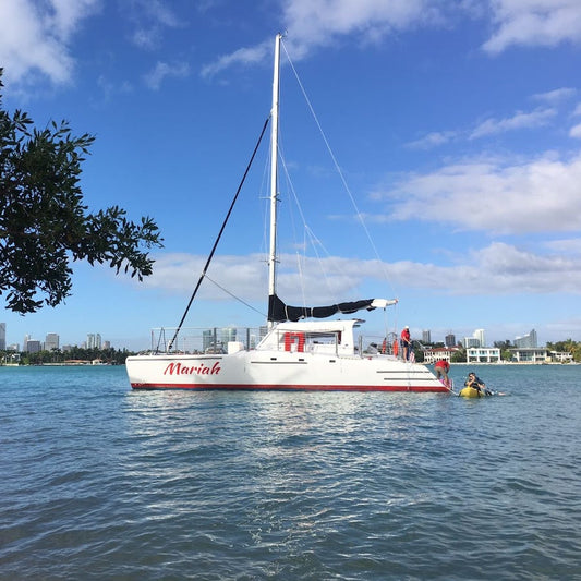 50ft Catamaran (2)