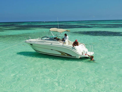 25ft Searay