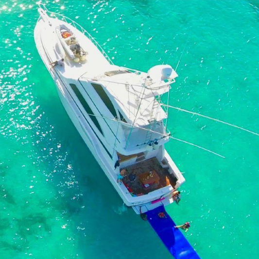 70ft Bertram